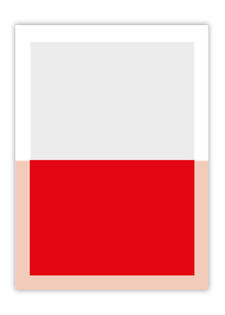 inserate-1-2-quer Wels im bild - INSERATE FORMATE