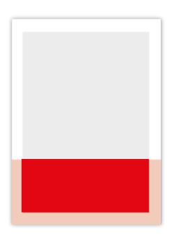 inserate-1-3-quer Wels im bild - INSERATE FORMATE