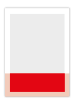 inserate-1-4-quer Wels im bild - INSERATE FORMATE